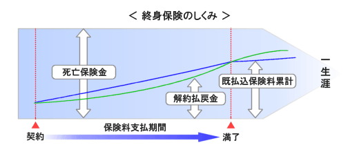 �I�g�ی��̂�����