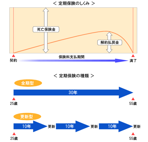 定期保険のしくみ